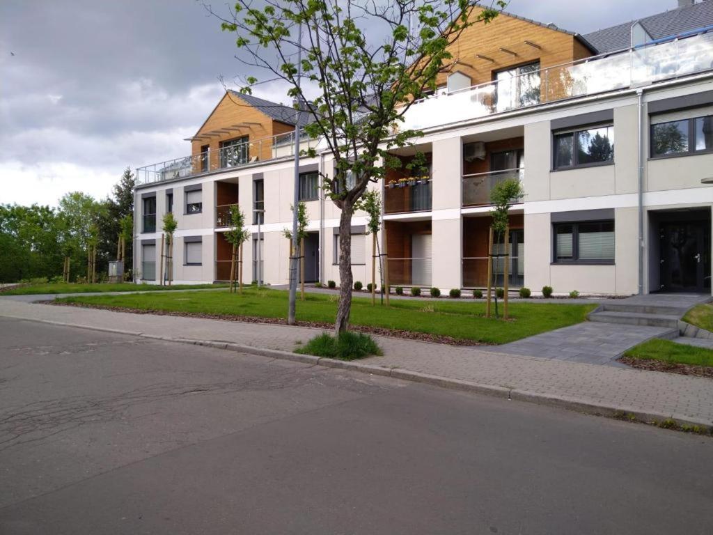 Apartament Moniuszko Z Parkingiem Podziemnym غوجوف فييلكوبولسكي المظهر الخارجي الصورة